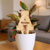 Appalachian State University Natural Wood Plant Stake