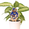 Kent State Fearless Flash Color Plant Stake