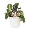 Wake Forest University Deacon Sillouette Plant Stake