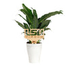 Louisiana State University Wordmark Natural Wood Plant Stake