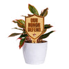 The Ohio State University Fight Song Natural Wood Plant Stake