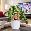 The Ohio State University Natural Wood Plant Stake