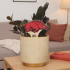 University of Arkansas Running Razorback Color Plant Stake