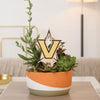 Vanderbilt Star V Color Plant Stake