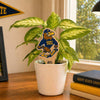Kent State Fearless Flash Color Plant Stake