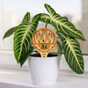 Louisiana State University Tiger Head Natural Wood Plant Stake