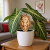 University of Arkansas Razorback Head Natural Wood Plant Stake