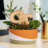 Georgia Tech GT Natural Wood Plant Stake