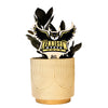 Kennesaw State University Owl Color Plant Stake
