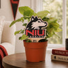 Northern Illinois University Logo Color Plant Stake