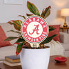 University of Alabama Circle Color Plant Stake