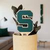 Michigan State Block S Color Plant Stake