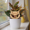 Kennesaw State University Owl Head Natural Wood Plant Stake