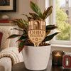 The Ohio State University Stadium Natural Wood Plant Stake