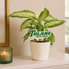 Tulane University "Green Wave" Color Plant Stake