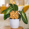 Kennesaw State University Natural Wood Plant Stake