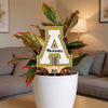 Appalachian State University Color Plant Stake