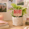 Alpha Omicron Pi Fraternity Color Plant Stake