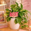 Alpha Omicron Pi Logo Color Plant Stake