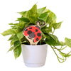 Alpha Sigma Alpha Ladybug Color Plant Stake