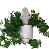 Alpha Sigma Tau Crest Color Plant Stake