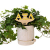 Alpha Xi Delta Letters Color Plant Stake