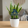 University of Akron Acrylic Plant Stake