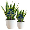 University of Akron Acrylic Plant Stake