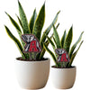 University of Alabama Big Al Acrylic Plant Stake