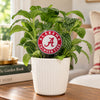 Alabama Circle Acrylic Plant Stake