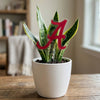 University of Alabama Crimson Tide Acrylic Plant Stake