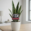Alabama Elephant Acrylic Plant Stake