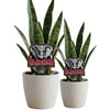 Alabama Elephant Acrylic Plant Stake