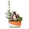 Allatoona Sword Color Plant Stake