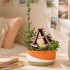 Allatoona Sword Color Plant Stake