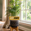 Appalachian State University Wordmark Color Plant Stake