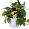 Appalachian State University Yosef Color Plant Stake