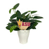 Arizona State Logo Color Plant Stake