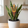 Arizona State Pitchfork Acrylic Plant Stake