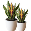 Arizona State Pitchfork Acrylic Plant Stake