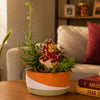 Arizona State Sparky Color Plant Stake