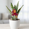 Arizona State Sparky Acrylic Plant Stake
