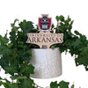 University of Arkansas Old Main Color Plant Stake