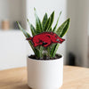 University of Arkansas Running Razorback Acrylic Plant Stake