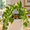 Auburn 'War Eagle' Acrylic Plant Stake