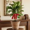 Austin Peay State University 'AP' Color Plant Stake