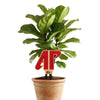 Austin Peay State University 'AP' Color Plant Stake