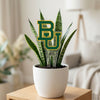 Baylor BU Acrylic Plant Stake