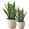 Baylor BU Acrylic Plant Stake