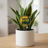 Baylor Bear Acrylic Plant Stake